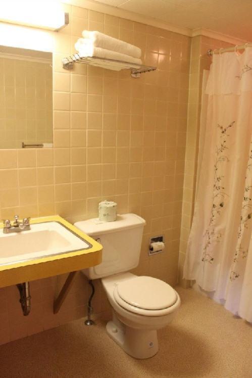 Motel White Trellis 2*